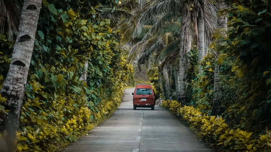 Alquiler de auto